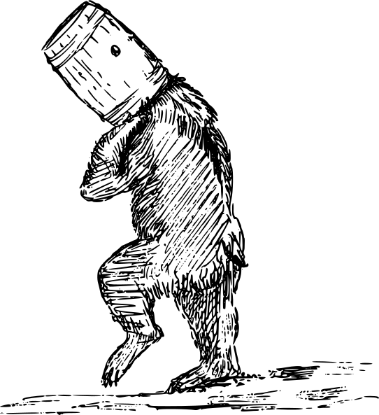 bear barrel on head
