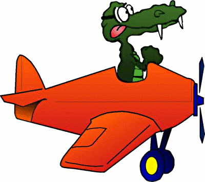 gator plane 2