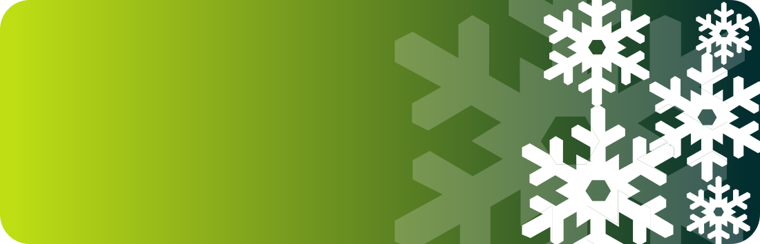 snowflake banner green