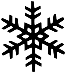 Snowflake BW 19