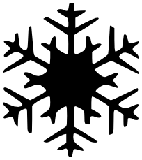Snowflake BW 34