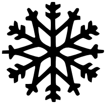 Snowflake BW 51