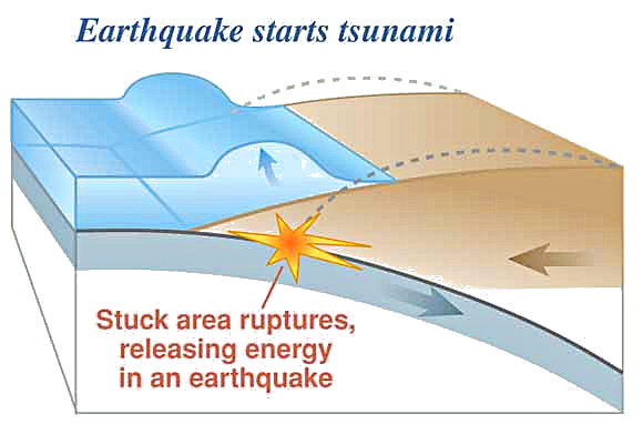 earthquake starts tsunami