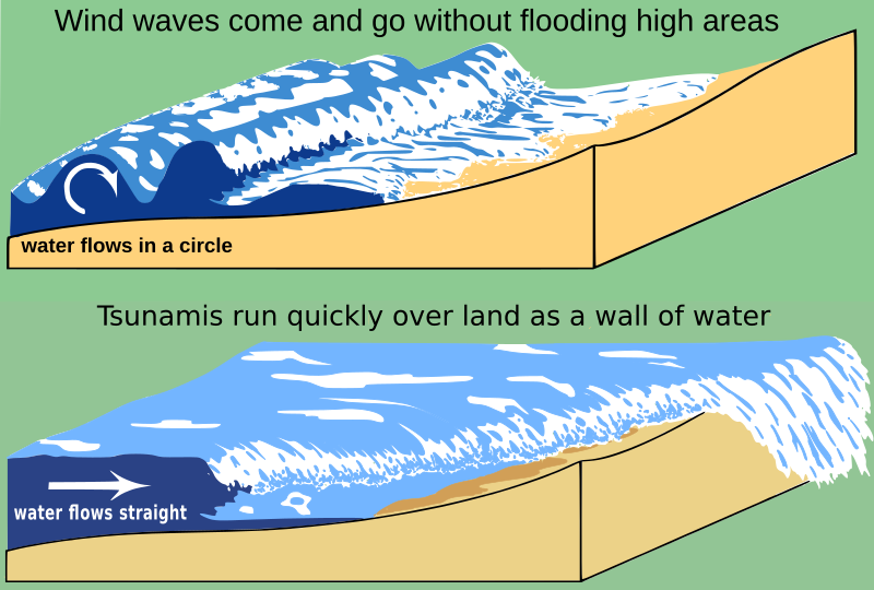 wave compare tsunami
